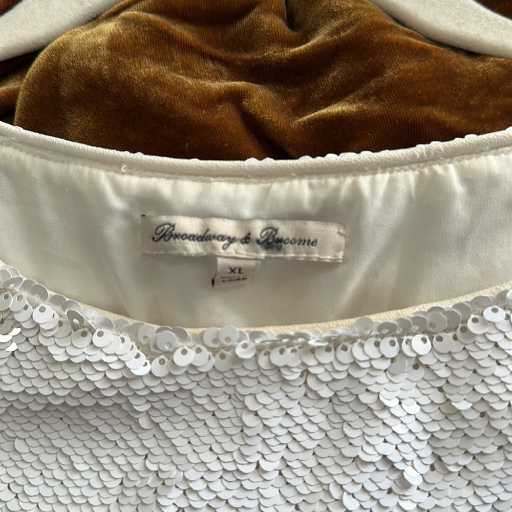 Madewell  White Sequin Dress - Picture 10 of 10